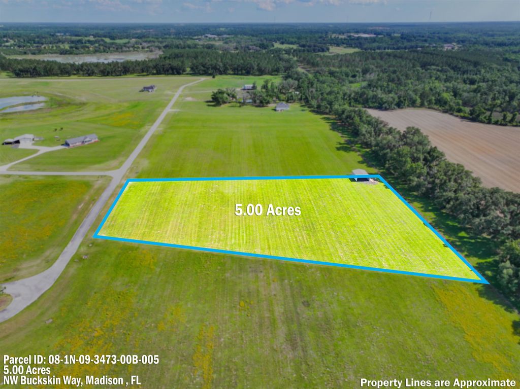 Photo of 0 NW Buckskin Way, Madison, FL 32340 (MLS # 400312)
