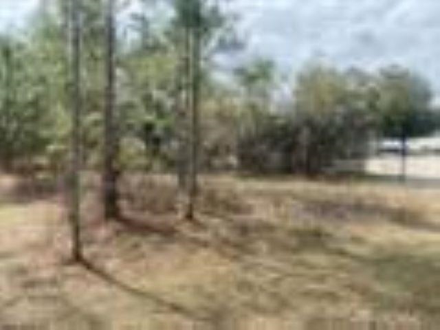 Crawfordville Highway