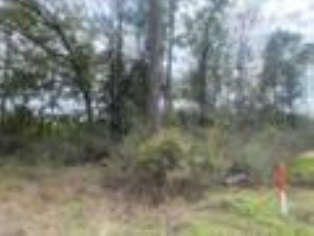 Crawfordville Highway