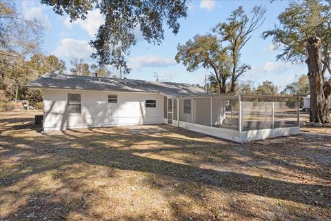Tiny photo for 172 SE Dees Court, Mayo, FL 32066 (MLS # 396191)