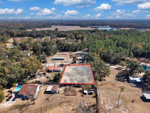 Tiny photo for 172 SE Dees Court, Mayo, FL 32066 (MLS # 396191)