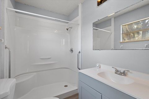 Tiny photo for 172 SE Dees Court, Mayo, FL 32066 (MLS # 396191)