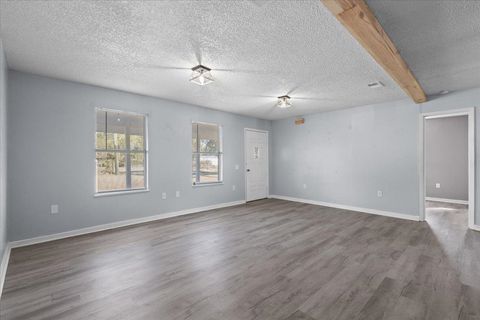 Tiny photo for 172 SE Dees Court, Mayo, FL 32066 (MLS # 396191)