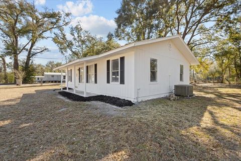 Tiny photo for 172 SE Dees Court, Mayo, FL 32066 (MLS # 396191)
