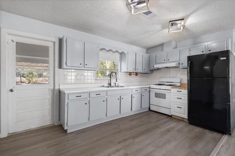 Tiny photo for 172 SE Dees Court, Mayo, FL 32066 (MLS # 396191)