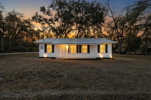 Tiny photo for 172 SE Dees Court, Mayo, FL 32066 (MLS # 396191)