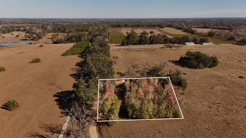 Photo of 1179 NW JERSEY Road, Greenville, FL 32331 (MLS # 395088)