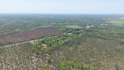 Tiny photo for 9710 Apalachee Parkway, Tallahassee, FL 32301 (MLS # 398479)