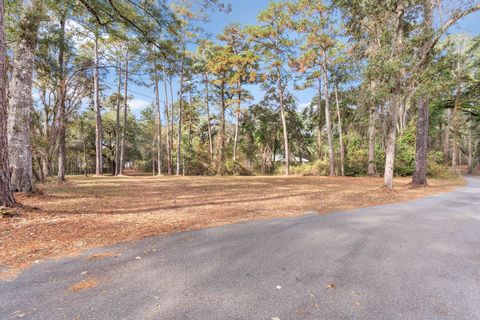 Tiny photo for xxx Duck Cove Road, Tallahassee, FL 32312 (MLS # 393887)