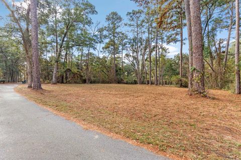 Tiny photo for xxx Duck Cove Road, Tallahassee, FL 32312 (MLS # 393887)