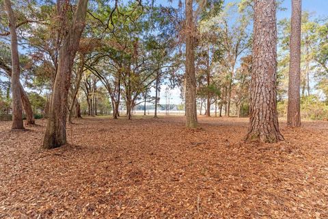 Tiny photo for xxx Duck Cove Road, Tallahassee, FL 32312 (MLS # 393887)