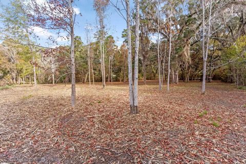 Tiny photo for xxx Duck Cove Road, Tallahassee, FL 32312 (MLS # 393887)