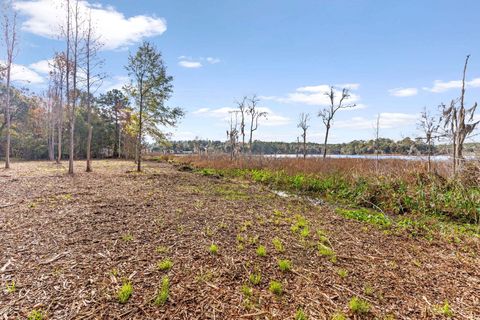 Tiny photo for xxx Duck Cove Road, Tallahassee, FL 32312 (MLS # 393887)
