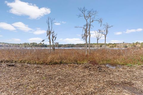 Tiny photo for xxx Duck Cove Road, Tallahassee, FL 32312 (MLS # 393887)