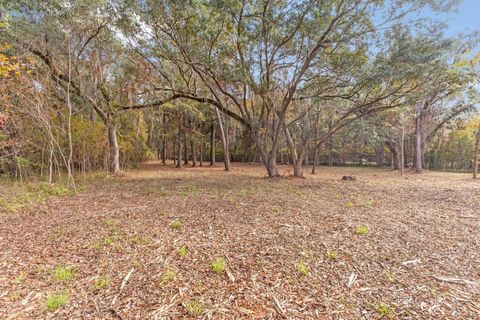 Tiny photo for xxx Duck Cove Road, Tallahassee, FL 32312 (MLS # 393887)