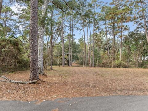 Tiny photo for xxx Duck Cove Road, Tallahassee, FL 32312 (MLS # 393887)