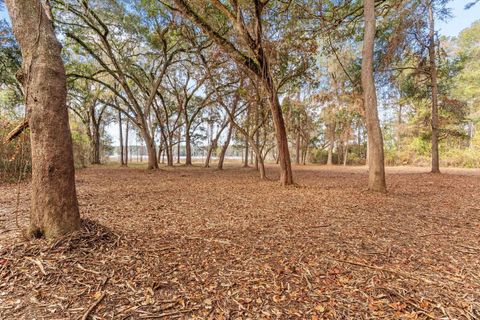 Tiny photo for xxx Duck Cove Road, Tallahassee, FL 32312 (MLS # 393887)
