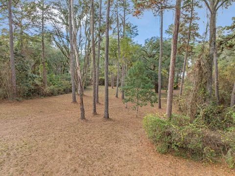 Tiny photo for xxx Duck Cove Road, Tallahassee, FL 32312 (MLS # 393887)