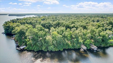 Tiny photo for Parramore Shores Road, Tallahassee, FL 32310 (MLS # 397011)