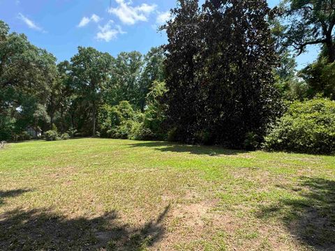 Tiny photo for Parramore Shores Road, Tallahassee, FL 32310 (MLS # 397011)