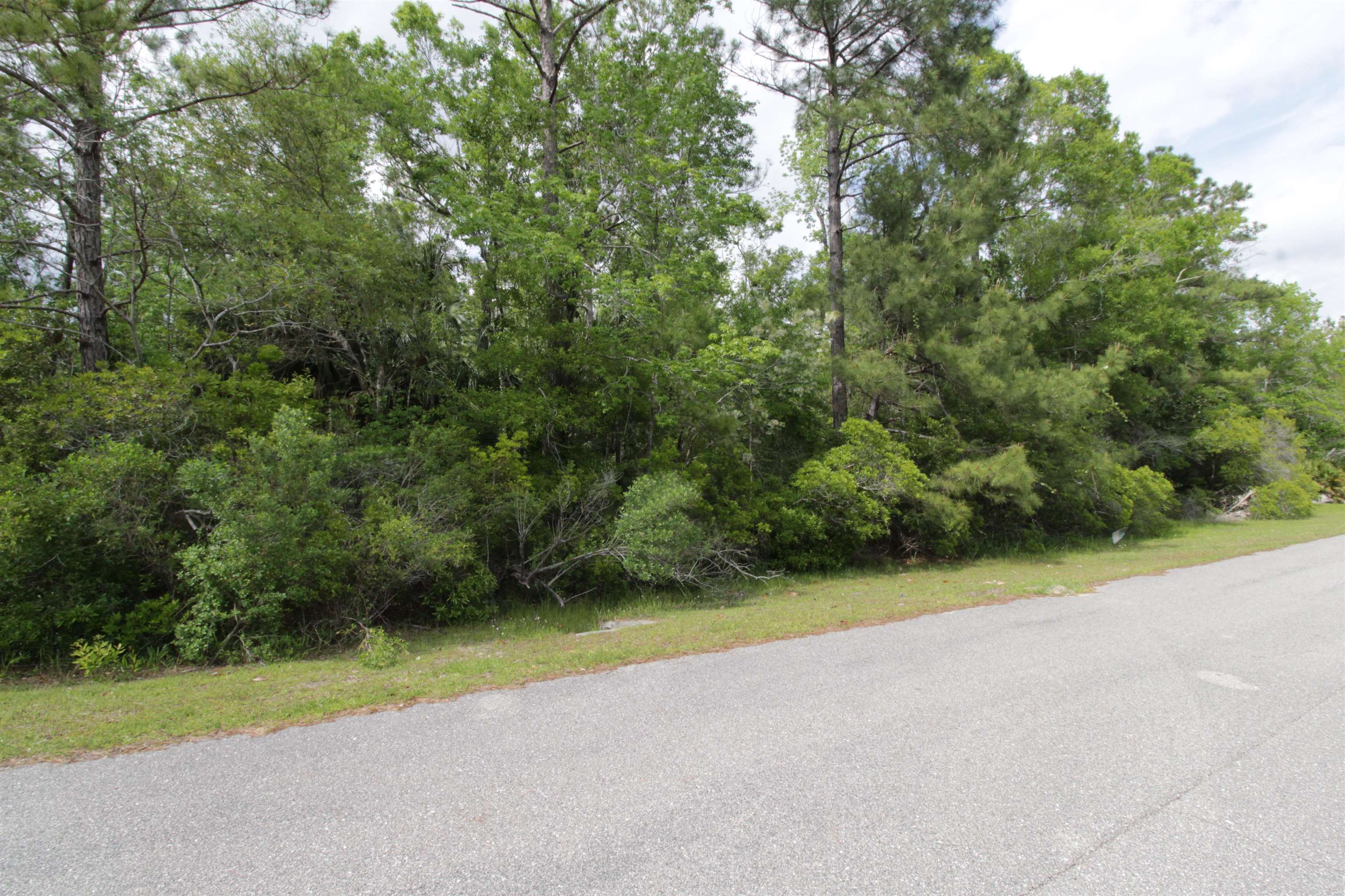 Lot 41 Burnt Pine Loop