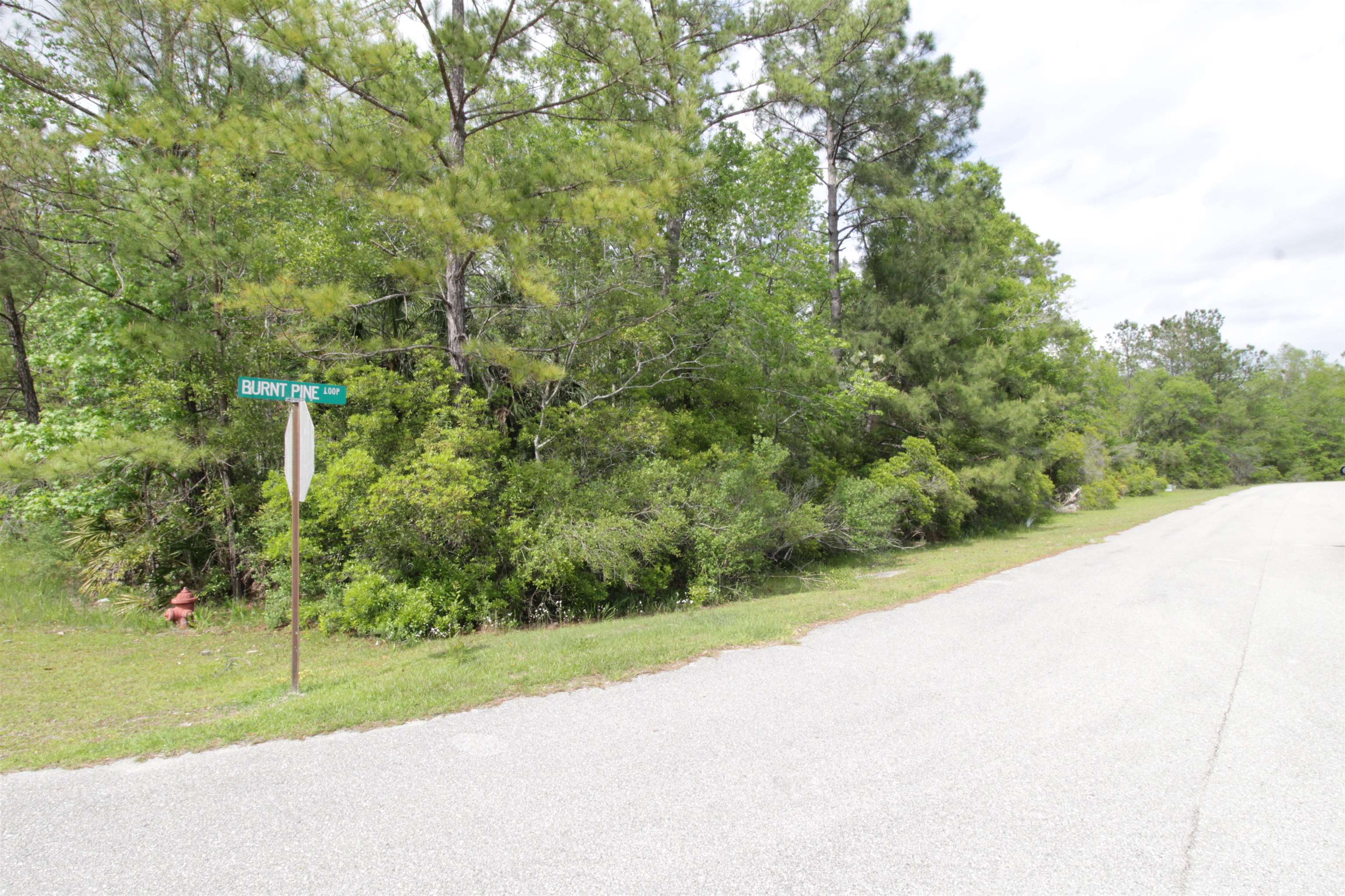 Lot 41 Burnt Pine Loop