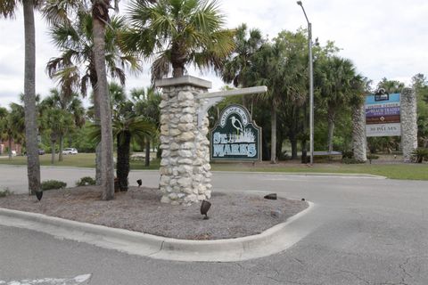 Lot 41 Burnt Pine Loop St Marks FL 32355