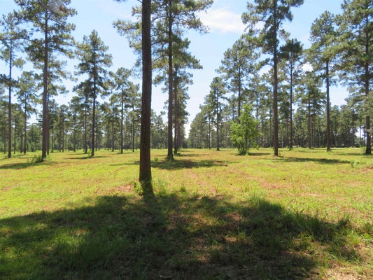 2 SOLOMON DAIRY RD, QUINCY, FL 32352 - Image ea92ea59e0468e2007acbb59bd1695b1/1666218036