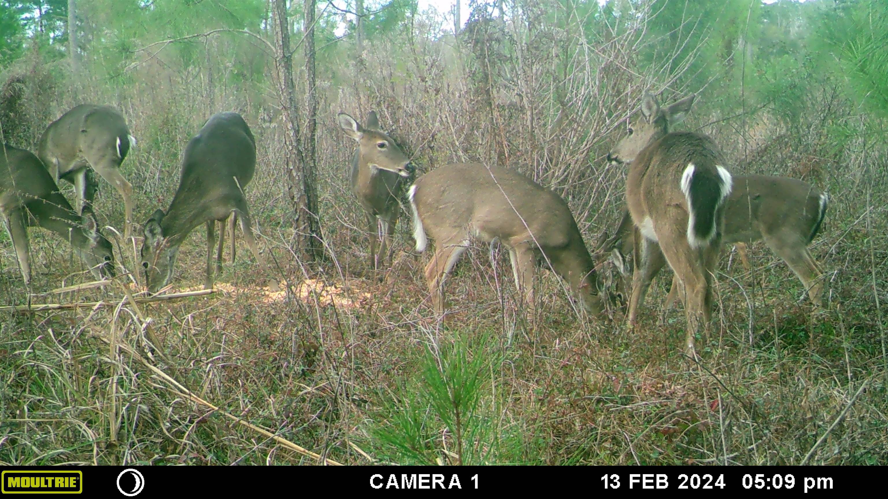 xxxx Lot 2 Solomon Dairy Road