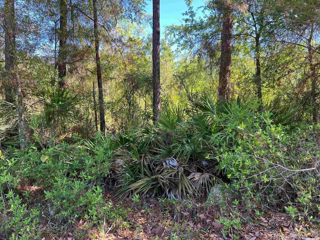 Photo of xx Old Federal Road, Quincy, FL 32351 (MLS # 398557)