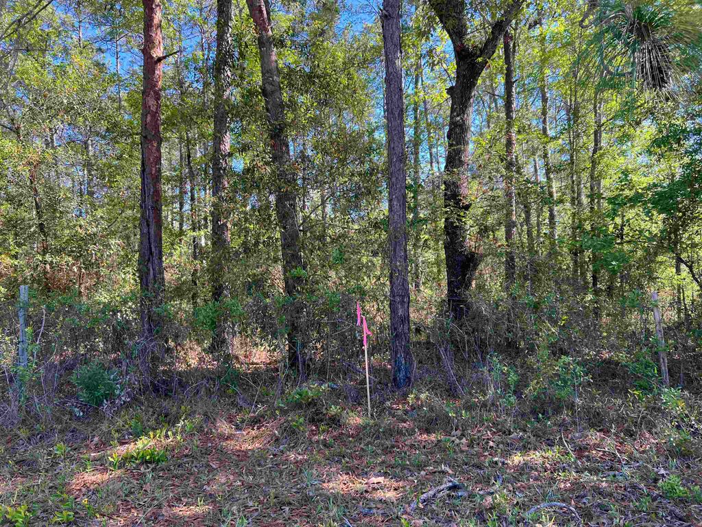 Photo of xx Old Federal Road, Quincy, FL 32351 (MLS # 398557)