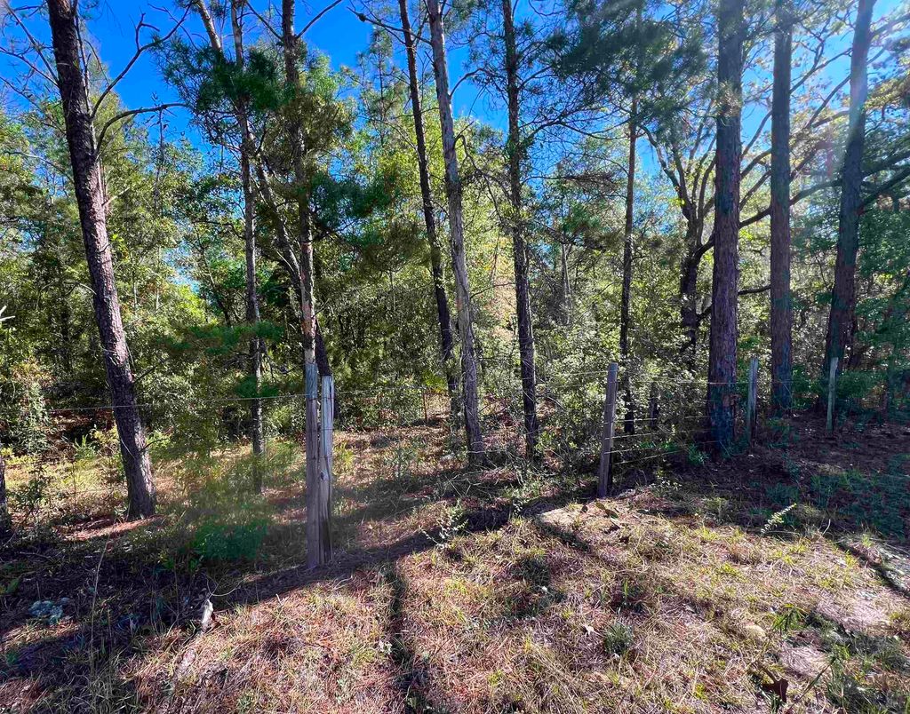 Photo of xx Old Federal Road, Quincy, FL 32351 (MLS # 398557)