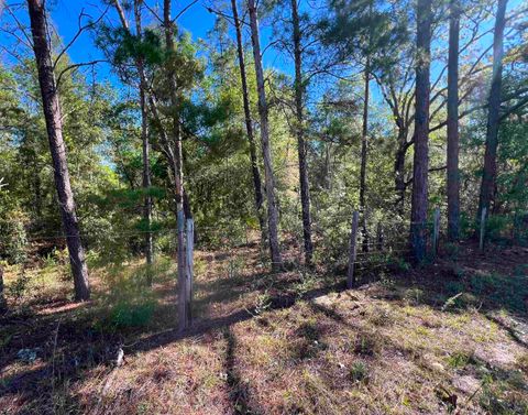 xx Old Federal Road Quincy FL 32351