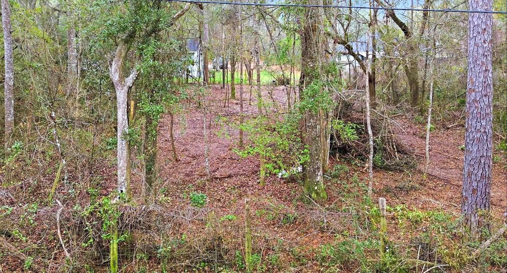 Photo of Stanley Drive, Medart, FL 32327 (MLS # 396332)