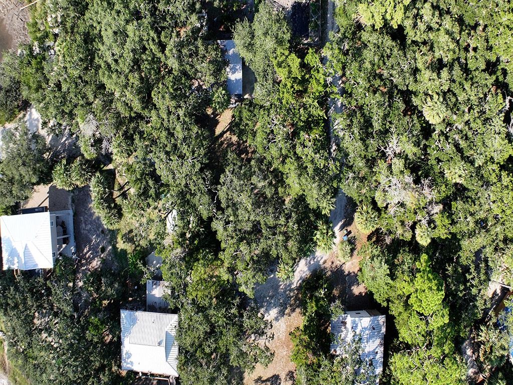 1246 Live Oak Island Road
