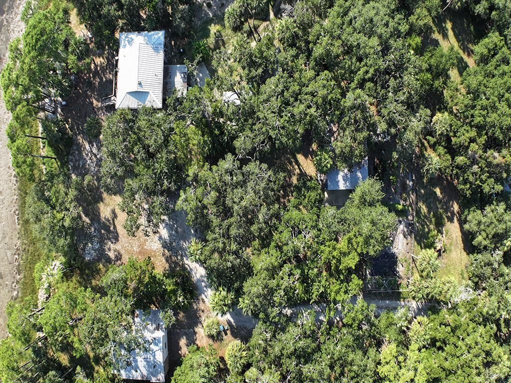 Photo of 1246 Live Oak Island Road, Crawfordville, FL 32327 (MLS # 391818)