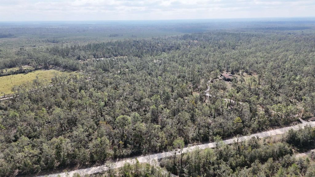 Photo of *Vacant* SE River Road, Lee, FL 32059 (MLS # 393548)