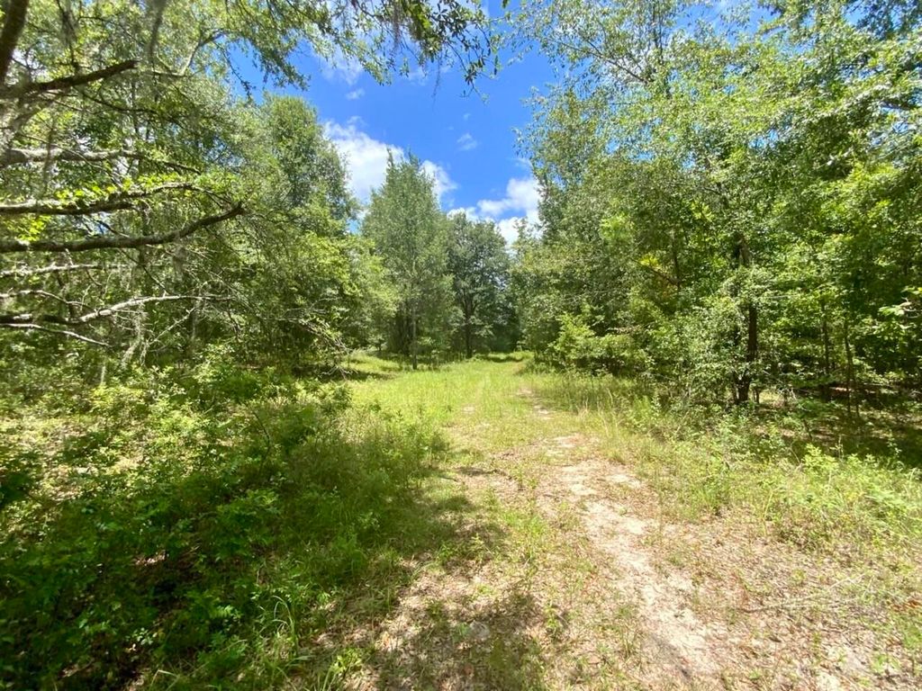 Photo of 0000 NE Dandelion Street, Madison, FL 32340 (MLS # 380468)