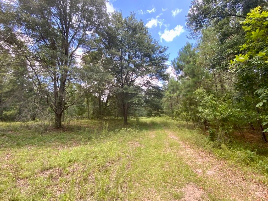 Photo of 0000 NE Dandelion Street, Madison, FL 32340 (MLS # 380468)