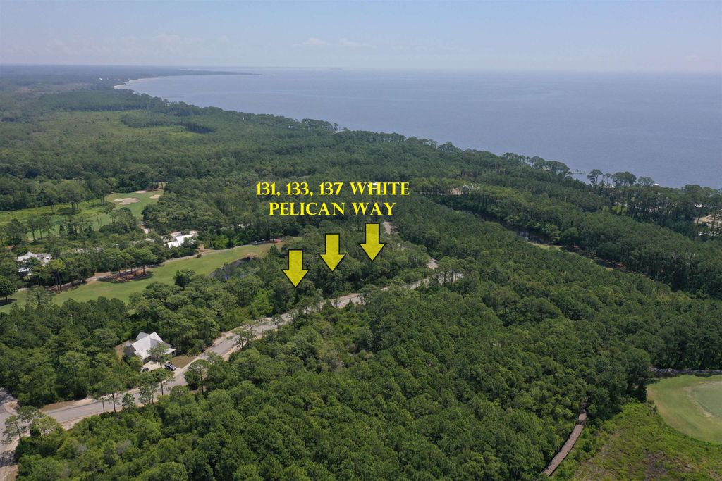 Photo of 131-137 White Pelican Way, Carrabelle, FL 32322 (MLS # 394199)