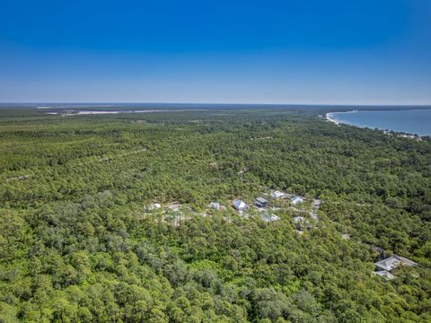 Tiny photo for 122 Treehouse Circle, St Teresa, FL 32358 (MLS # 399073)