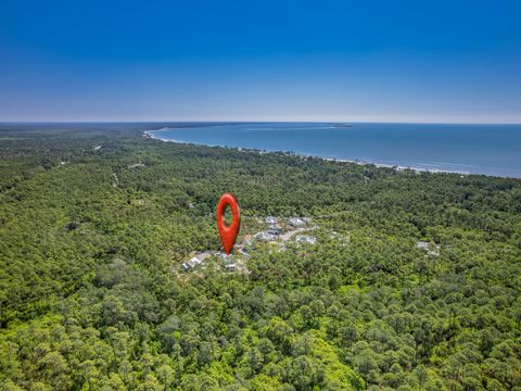 Tiny photo for 122 Treehouse Circle, St Teresa, FL 32358 (MLS # 399073)