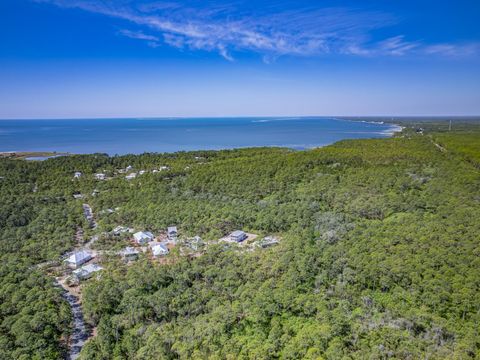 Tiny photo for 122 Treehouse Circle, St Teresa, FL 32358 (MLS # 399073)