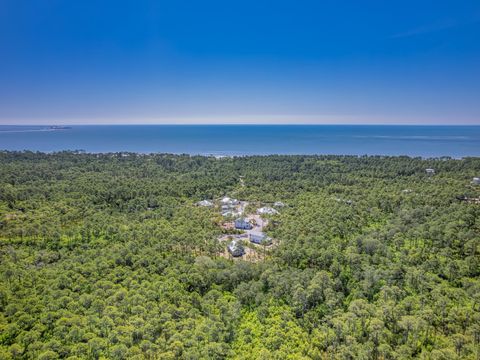 Tiny photo for 122 Treehouse Circle, St Teresa, FL 32358 (MLS # 399073)