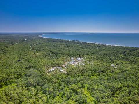 Tiny photo for 122 Treehouse Circle, St Teresa, FL 32358 (MLS # 399073)
