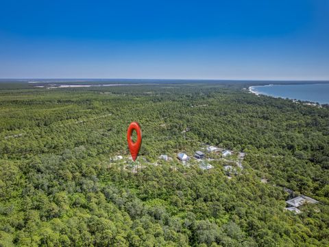 Tiny photo for 122 Treehouse Circle, St Teresa, FL 32358 (MLS # 399073)