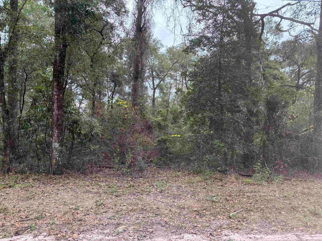 Photo of 133 Rochelise Road, Crawfordville, FL 32327 (MLS # 393675)