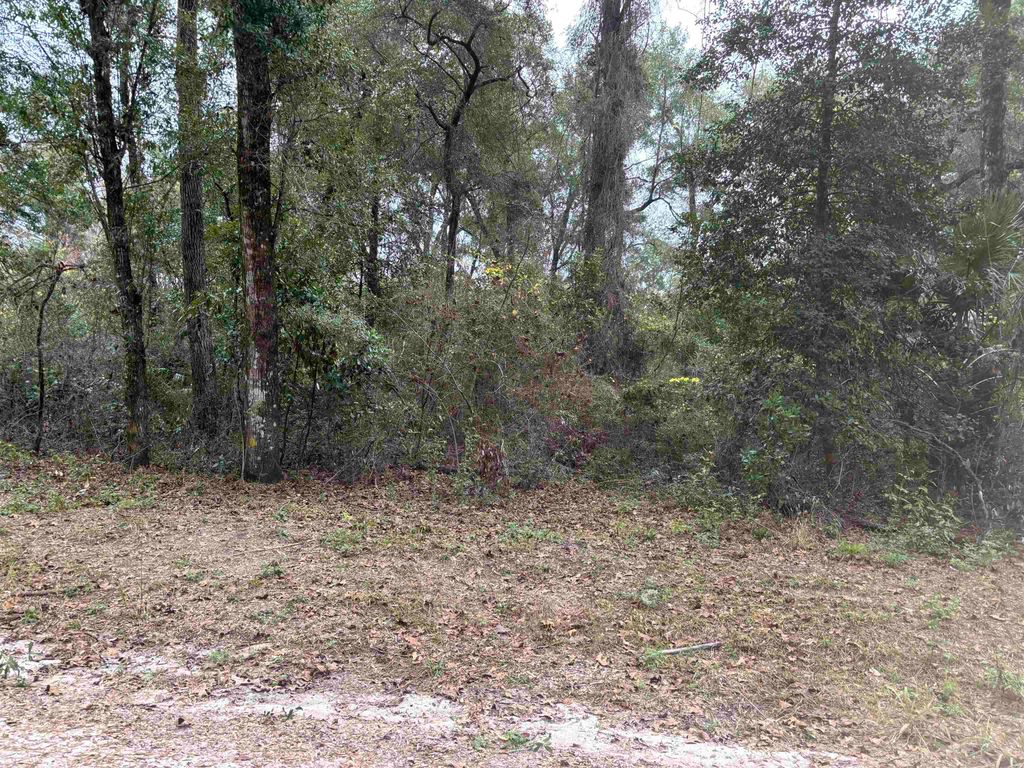 Photo of 133 Rochelise Road, Crawfordville, FL 32327 (MLS # 393675)