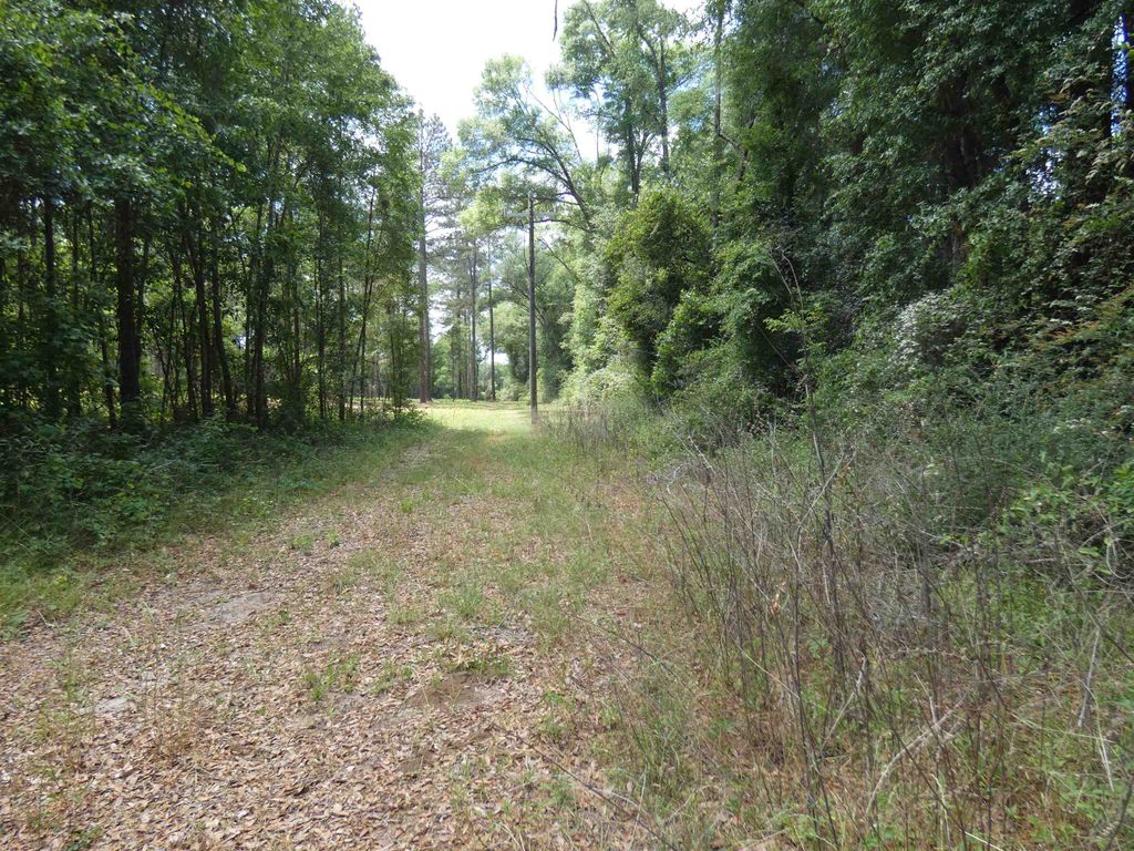 Photo of TBD W Washington, Monticello, FL 32344 (MLS # 399248)