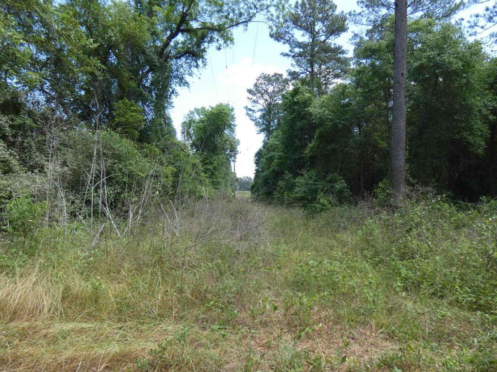 Photo of TBD W Washington, Monticello, FL 32344 (MLS # 399248)